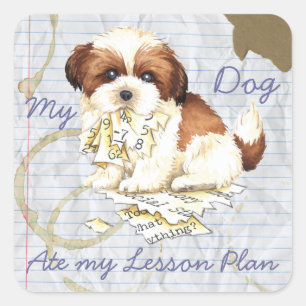 Mijn Shih Tzu Ate mijn lesplan Vierkante Sticker