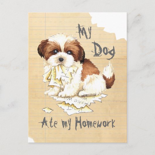Mijn Shih Tzu Ate mijn thuiswerk Briefkaart (Voorkant)