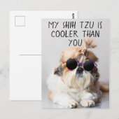 Mijn Shih Tzu Is Koeler Dan Jouw Zonnebril Foto Briefkaart (Voorkant / Achterkant)