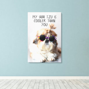 Mijn Shih Tzu is koeler dan jouw zonnebril foto Canvas Afdruk