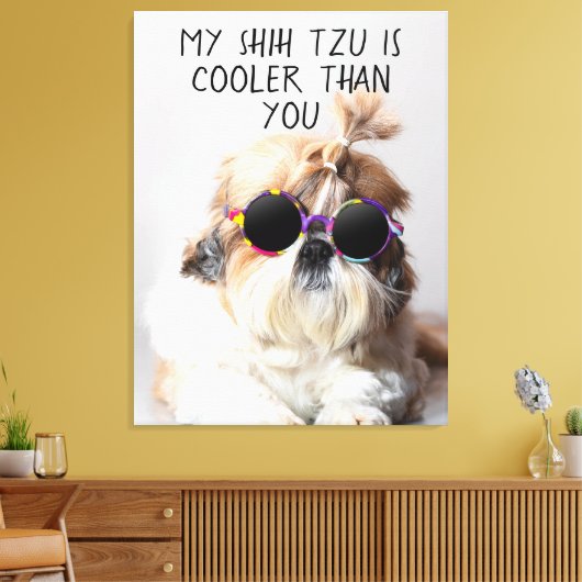 Mijn Shih Tzu is koeler dan jouw zonnebril foto Canvas Afdruk (Insitu (Woonkamer))
