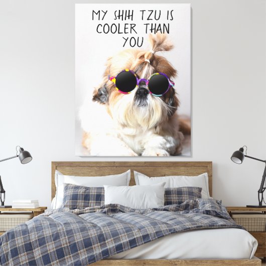 Mijn Shih Tzu is koeler dan jouw zonnebril foto Canvas Afdruk (Insitu (Slaapkamer))