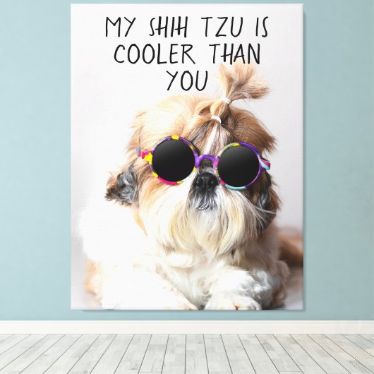 Mijn Shih Tzu is koeler dan jouw zonnebril foto Canvas Afdruk (Insitu (Houten vloer))