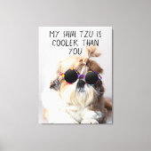 Mijn Shih Tzu is koeler dan jouw zonnebril foto Canvas Afdruk (Voorkant)