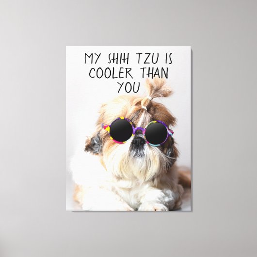 Mijn Shih Tzu is koeler dan jouw zonnebril foto Canvas Afdruk (Voorkant)
