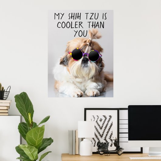 Mijn Shih Tzu is koeler dan jouw zonnebril foto Poster (Thuiskantoor)