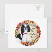 Mijn Shih Tzu Liefde Briefkaart (Voorkant / Achterkant)