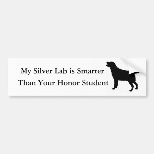 Mijn Silver Lab is slimmer dan je eervolle student Bumpersticker (Voorkant)