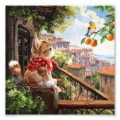 Mijn sinaasappels foto afdruk (Voorkant)