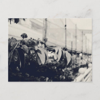 Mijn Singapore: Gezondheidsgebieden Serie #6 Briefkaart