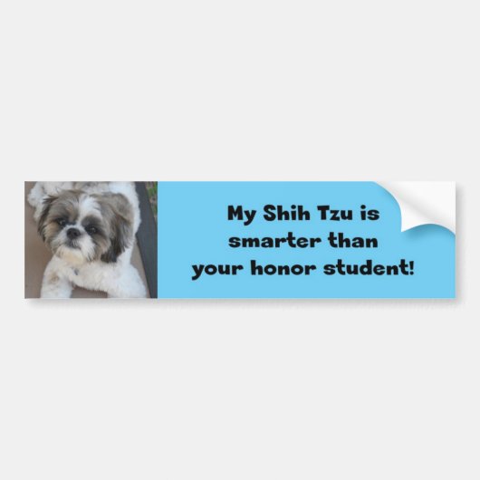"Mijn sjiitische Tzu is slimmer dan je eersteklas" Bumpersticker (Voorkant)