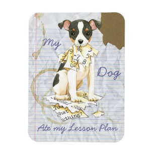 Mijn Speelgoed Fox Terrier Ate mijn Lesson Plan Magneet