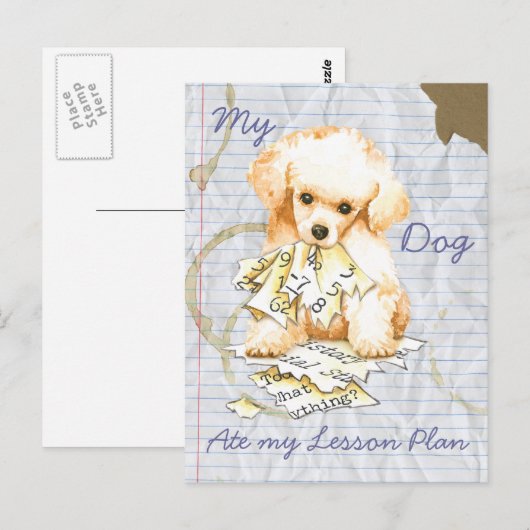 Mijn Speelgoed podium op mijn Lesson Plan Briefkaart (Voorkant / Achterkant)