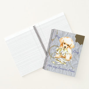 Mijn Speelgoed podium op mijn Lesson Plan Notitieboek