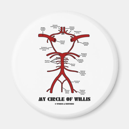 Mijn spiraal van Willis (Arteria anatomical Humor) Magneet (Voorkant)