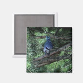 Mijn spullen3 013 magneet (Voorkant / Achterkant)