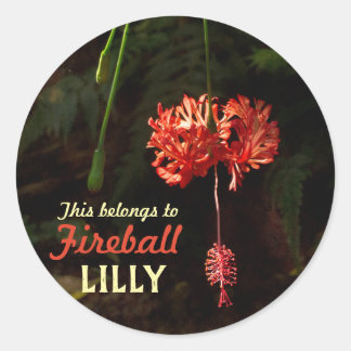 Mijn spullen met Japanse lantaarn Ronde Sticker