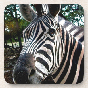 Mijn Strippy Friend Bier Onderzetter