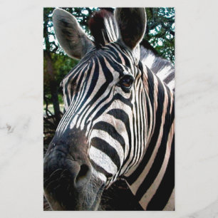 Mijn Strippy Friend Briefpapier