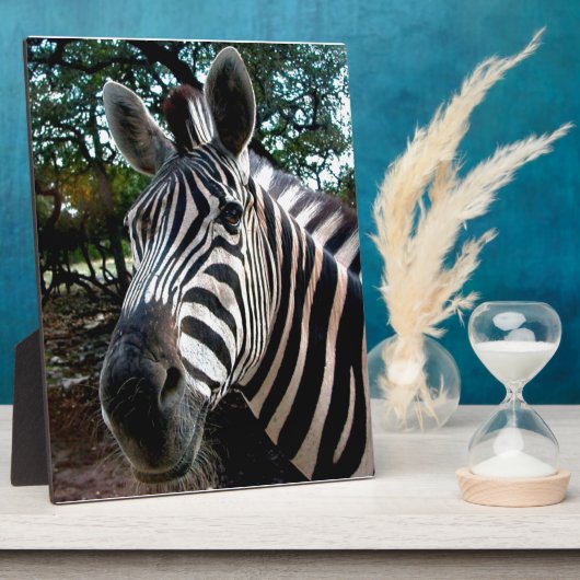 Mijn Strippy Friend Fotoplaat (Zijkant)