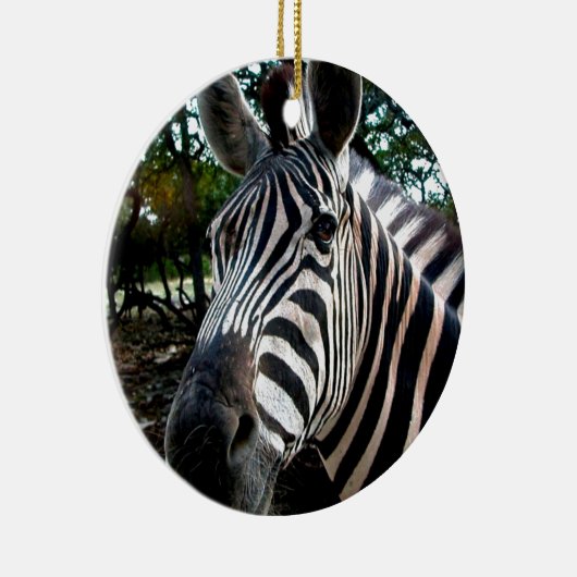 Mijn Strippy Friend Keramisch Ornament (Rechts)