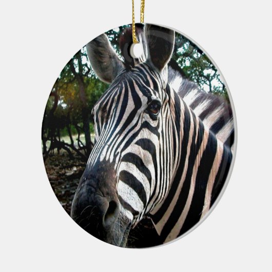 Mijn Strippy Friend Keramisch Ornament (Links)