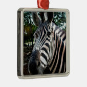 Mijn Strippy Friend Metalen Ornament (Rechts)