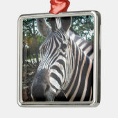 Mijn Strippy Friend Metalen Ornament (Links)