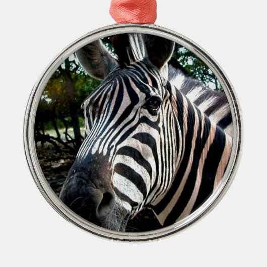 Mijn Strippy Friend Metalen Ornament (Voorkant)