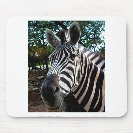 Mijn Strippy Friend Muismat (Voorkant)