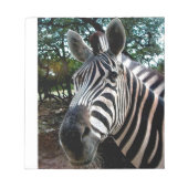 Mijn Strippy Friend Notitieblok (Voorkant)