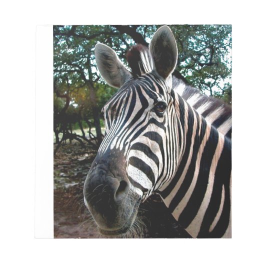 Mijn Strippy Friend Notitieblok (Voorkant)