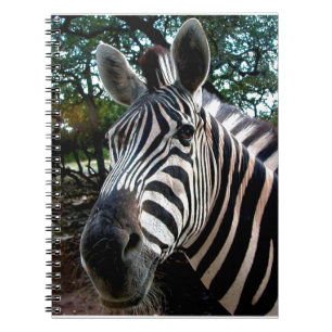 Mijn Strippy Friend Notitieboek