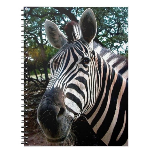 Mijn Strippy Friend Notitieboek (Voorkant)