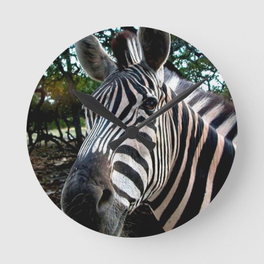 Mijn Strippy Friend Ronde Klok (Voorkant)