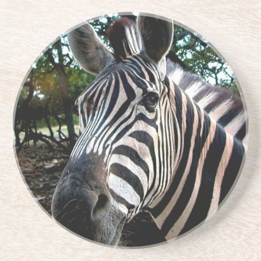 Mijn Strippy Friend Zandsteen Onderzetter (Voorkant)