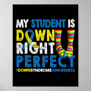 Mijn student is helemaal onderaan perfect syndroom poster
