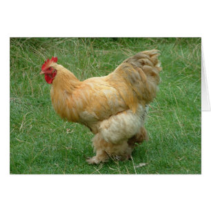 Mijn stuifje stoppen