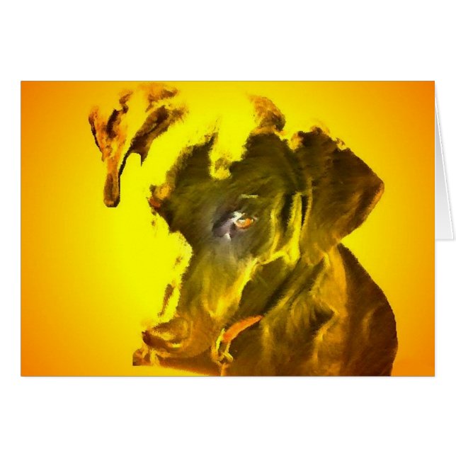 Mijn Sunshine (Voorkant Horizontaal)