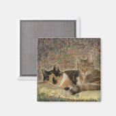 Mijn Sweet Katten magneet (Voorkant / Achterkant)