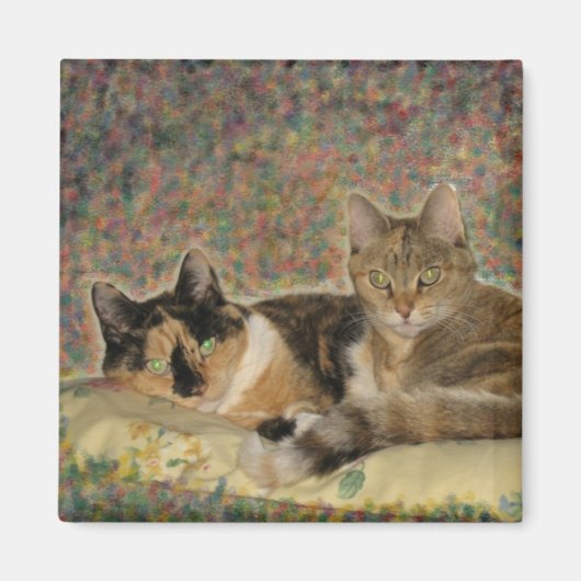 Mijn Sweet Katten magneet (Voorkant)