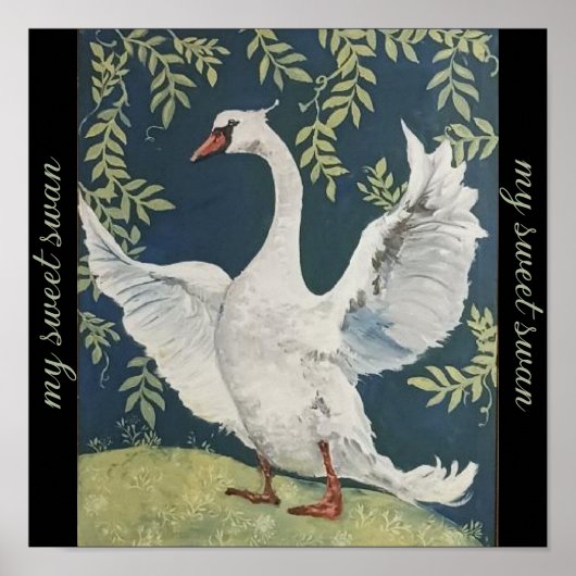 Mijn Sweet Swan Poster (Voorkant)