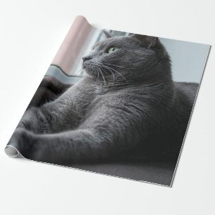 MIJN SWEETHEART ROUTER RESCUTEN KITTEN CADEAUPAPIER