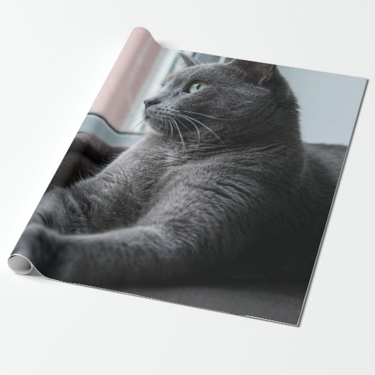 MIJN SWEETHEART ROUTER RESCUTEN KITTEN CADEAUPAPIER (Uitgerold)