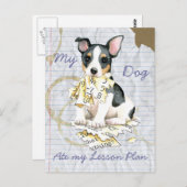 Mijn Teddy Roosevelt Terrier Ate Mijn Lesson Plan Briefkaart (Voorkant / Achterkant)
