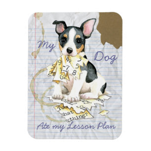 Mijn Teddy Roosevelt Terrier Ate Mijn Lesson Plan Magneet