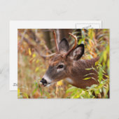 Mijn tong, opgelet! briefkaart (Voorkant / Achterkant)