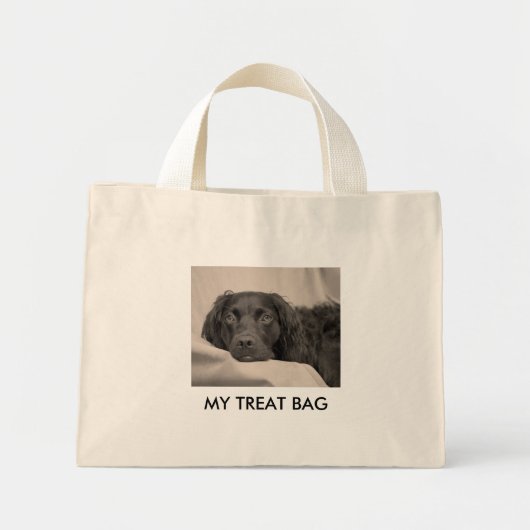 Mijn Treat Bag Mini Tote Bag (Voorkant)