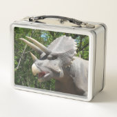 Mijn Triceratops Dinosauriërs  (Achterkant)