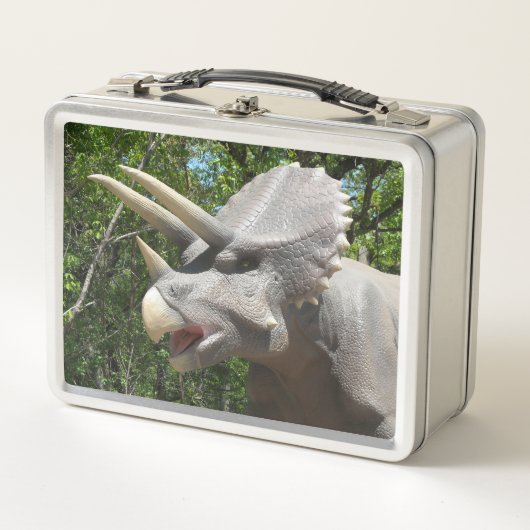 Mijn Triceratops Dinosauriërs  (Voorkant)